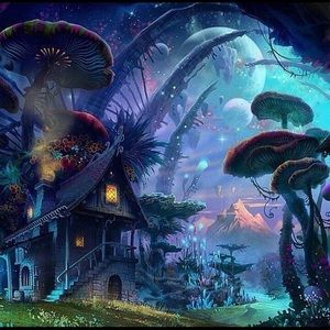 Meet your Posher, Devon